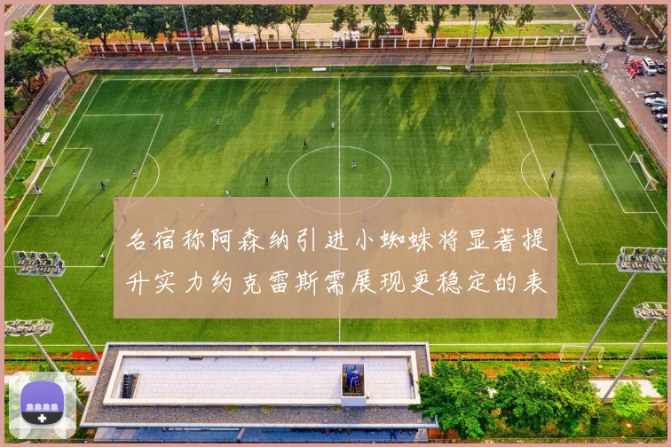 名宿称阿森纳引进小蜘蛛将显著提升实力约克雷斯需展现更稳定的表现