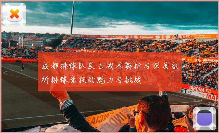 成都排球队反击战术解析与深度剖析排球竞技的魅力与挑战
