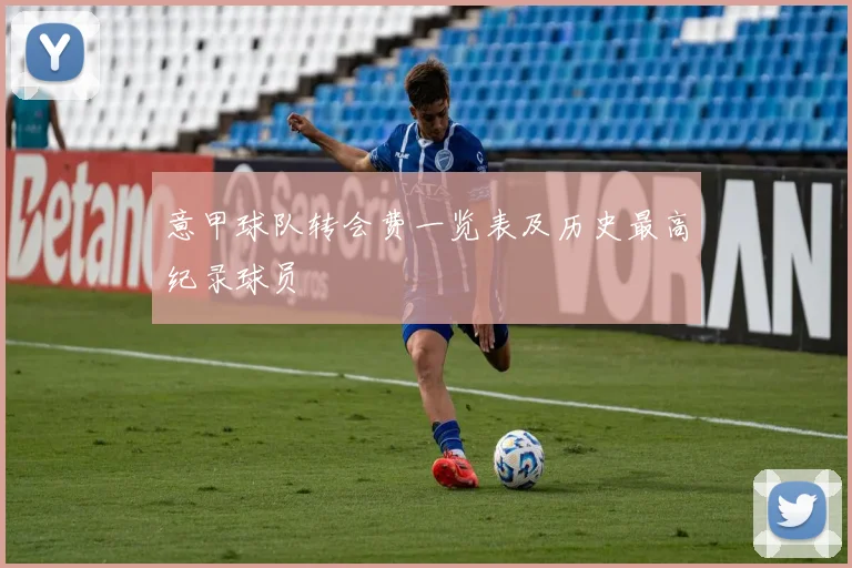 意甲球队转会费一览表及历史最高纪录球员