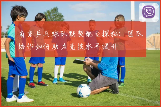 南京乒乓球队默契配合探秘：团队协作如何助力竞技水平提升